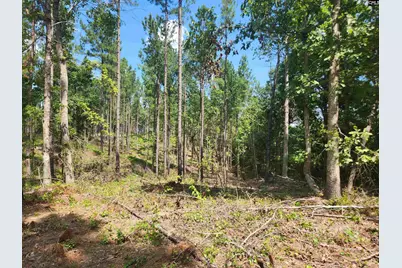 Tract 1 Hoke Road, Heath Springs, SC 29058 - Photo 5