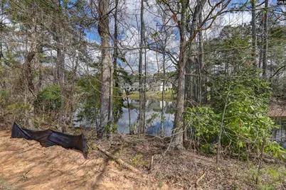 138 Clubside Drive, Lexington, SC 29072 - Photo 7