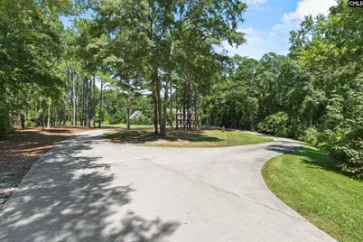 265 Will Dent Road, Lexington, SC 29072 - Photo 69