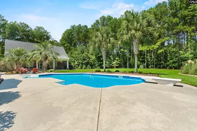 265 Will Dent Road, Lexington, SC 29072 - Photo 53