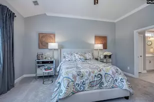 709 Ruskin Dr, Chapin, SC 29036 - Photo 35