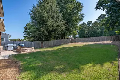 181 Palm Street, Chapin, SC 29036 - Photo 47