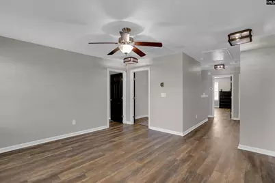 181 Palm Street, Chapin, SC 29036 - Photo 41