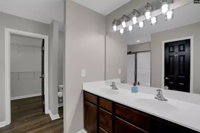 181 Palm Street, Chapin, SC 29036 - Photo 27