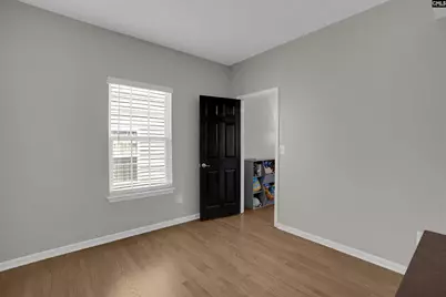 181 Palm Street, Chapin, SC 29036 - Photo 21
