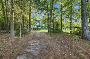 1144 Nature Way, Saluda, SC 29138 - Photo 51