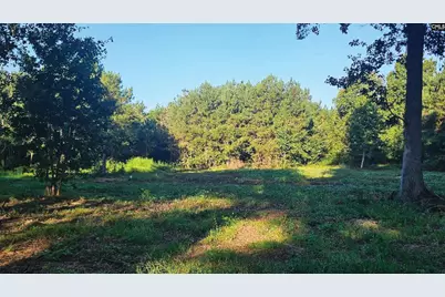0 J Farm Trail, Leesville, SC 29070 - Photo 3