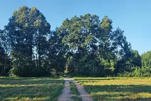 0 J Farm Trail, Leesville, SC 29070 - Photo 1