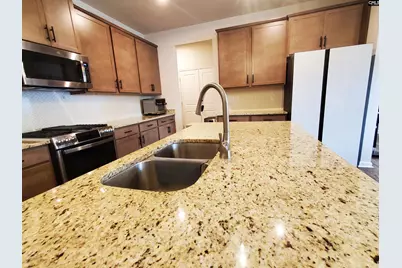 351 Chapin Place Way, Chapin, SC 29036 - Photo 11