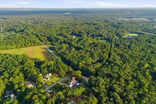 101 River Creek Dr, Irmo, SC 29063 - Photo 49