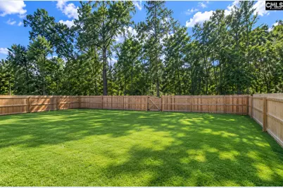 764 Empire Maker Road, Lexington, SC 29073 - Photo 23