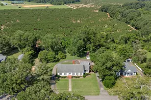 210 Dubose St, Ridge Spring, SC 29129 - Photo 43