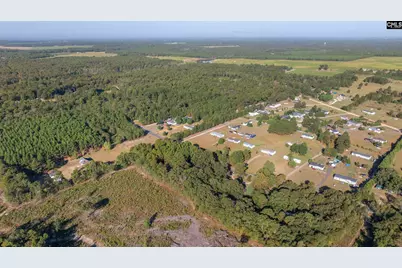 1069 Fallaw Road, Gaston, SC 29053 - Photo 35