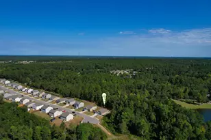 290 Carrington Dr, Lugoff, SC 29078 - Photo 55