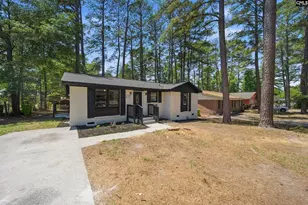 137 Westbridge Rd, Columbia, SC 29223 - Photo 3
