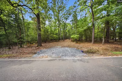 1376 Eleazer Road, Irmo, SC 29063 - Photo 5