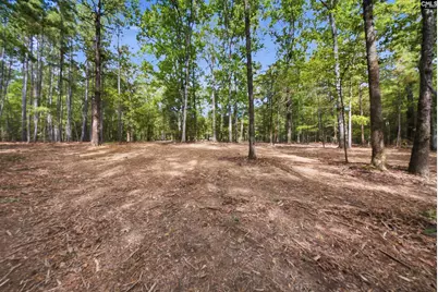 1376 Eleazer Road, Irmo, SC 29063 - Photo 9