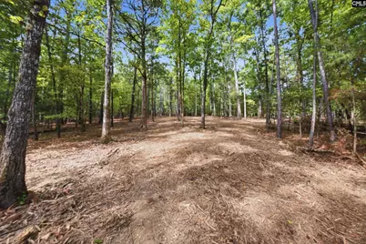 1376 Eleazer Road, Irmo, SC 29063 - Photo 7