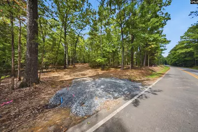 1376 Eleazer Road, Irmo, SC 29063 - Photo 21
