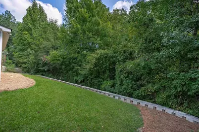 313 Cape Romain Court, Lexington, SC 29072 - Photo 23