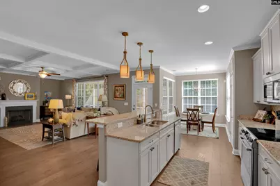 313 Cape Romain Court, Lexington, SC 29072 - Photo 9