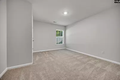 184 Rushton Drive, Chapin, SC 29036 - Photo 15