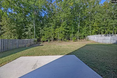 184 Rushton Drive, Chapin, SC 29036 - Photo 35