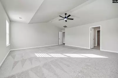 184 Rushton Drive, Chapin, SC 29036 - Photo 19