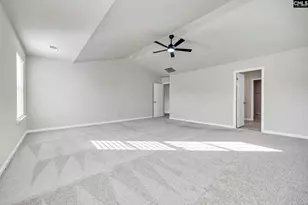 184 Rushton Dr, Chapin, SC 29036 - Photo 19