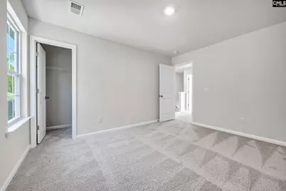 184 Rushton Drive, Chapin, SC 29036 - Photo 29