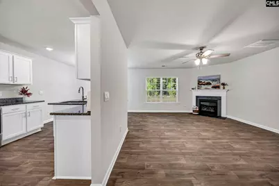 184 Rushton Drive, Chapin, SC 29036 - Photo 5