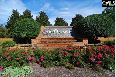 433 Indigo Ridge Drive, Columbia, SC 29229 - Photo 23