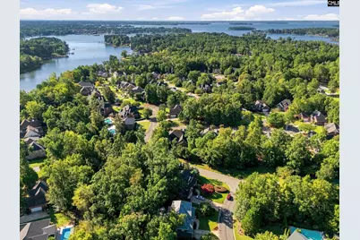 4 Bamboo Grove Court, Chapin, SC 29036 - Photo 61
