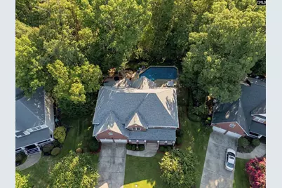 4 Bamboo Grove Court, Chapin, SC 29036 - Photo 59