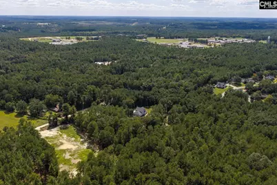 303 Juniper Springs Road, Gilbert, SC 29054 - Photo 61