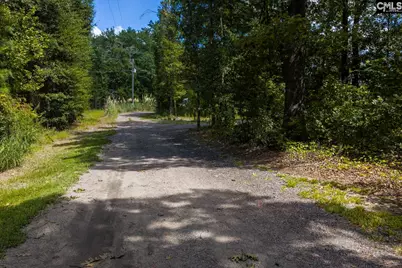 303 Juniper Springs Road, Gilbert, SC 29054 - Photo 67