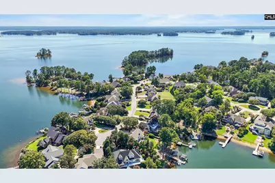 219 Lake Vista Drive, Chapin, SC 29036 - Photo 41