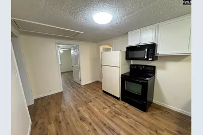 360 Rikard Street, Batesburg, SC 29006 - Photo 9