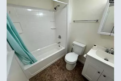 360 Rikard Street, Batesburg, SC 29006 - Photo 13