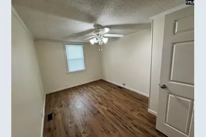 360 Rikard Street, Batesburg, SC 29006 - Photo 7