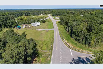 1411 Holy Trinity Church Road, Chapin, SC 29036 - Photo 27