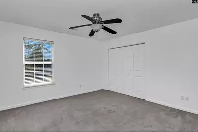 48 Rustyred Court, Chapin, SC 29036 - Photo 35