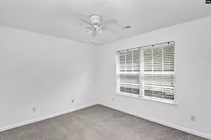 48 Rustyred Ct, Chapin, SC 29036 - Photo 31