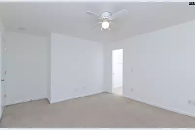48 Rustyred Court, Chapin, SC 29036 - Photo 43