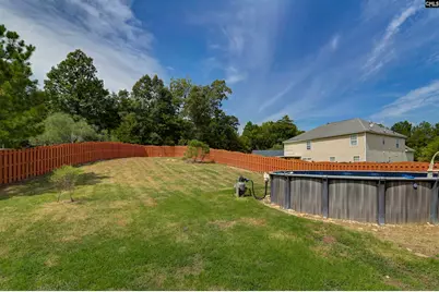 48 Rustyred Court, Chapin, SC 29036 - Photo 51