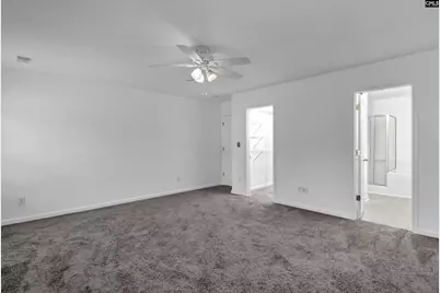 48 Rustyred Court, Chapin, SC 29036 - Photo 23