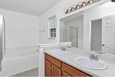 48 Rustyred Court, Chapin, SC 29036 - Photo 25