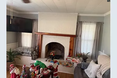 10768 US Hwy 176 Highway, Pomaria, SC 29126 - Photo 3