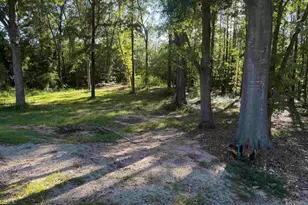 10768 US Hwy 176 Hwy, Pomaria, SC 29126 - Photo 7