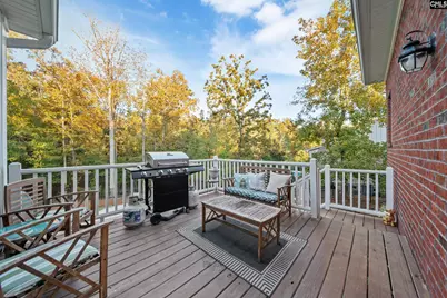 125 Pintail Lake Drive, Gilbert, SC 29054 - Photo 47